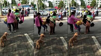 抓奸集锦-特精甄选第一现场街头扭打吃瓜围观 赤裸裸床上被逮还有被割屌的 各色良家女神狼狈瞬间 (333)